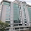 Golden Tulip