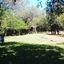 The Royal Sichango Village