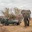 Karongwe- Shiduli Safari Lodge