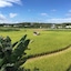 Beras Manor Kenting