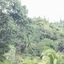 Natural Pacific Suites