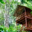Ella Eco Lodge