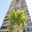 Apartamentos Gemelos 4 - Beninter