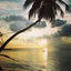 Evexia Beach Collection - A Premium Wellness Retreat