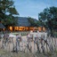 Tintswalo Safari