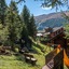 Park Chalet Village