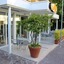 Hotel Massimo
