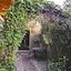 Casas Del Toro Monteverde