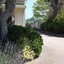 Abbey Court Motel