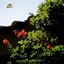 Sa Pedrera Country Hotel