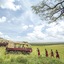 Mara Engai Wilderness Lodge