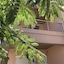 Cyan Icons Villas