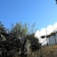 La Corte Dei Limoni
