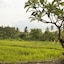 Mesari Hotel Ubud
