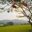 Sir James Resort