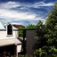 Los Olivos At The Yard