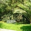 Villa Olive Apartments