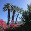 Inn At Palm Springs
