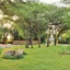 Thebe River Safaris