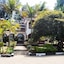 Karen Bomas Inn