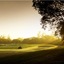 Ponderosa Golf & Country Resort