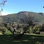 Paarl Nuwerus Lodge