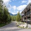 Pine Bungalows