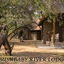 Bushbaby River Lodge