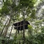 Pepper Trail