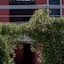 Villas Faro