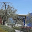 Hotel Atilius Adults Only