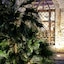 Masseria Mazzei Le Colline Del Gelso