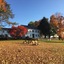 Colonel Williams Inn
