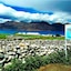 Tih Pangong Delight Camps And Cottages