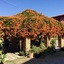 Mitkhoonyoum Hotel