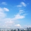 The New Days