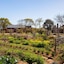 The Village At Botlierskop