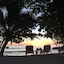 Villa Belle Plage