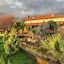 Simlarda Country Club