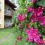 Pousada Vila Marraro