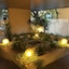 Giulio Cesare Luxury Apartment