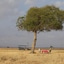 Vuma Hills