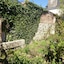 La Petite Vigne