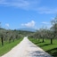 Borgo Romantico Green Relais