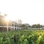 Four Seasons Resort And Residences Napa Valley