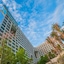 Sanya Conifer Resort