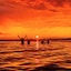 Parguera Plaza Hotel - Adults Only