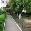 Green Apartment No 12