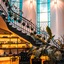 Orchid House Polanco