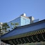 Nine Tree By Parnas Seoul Insadong